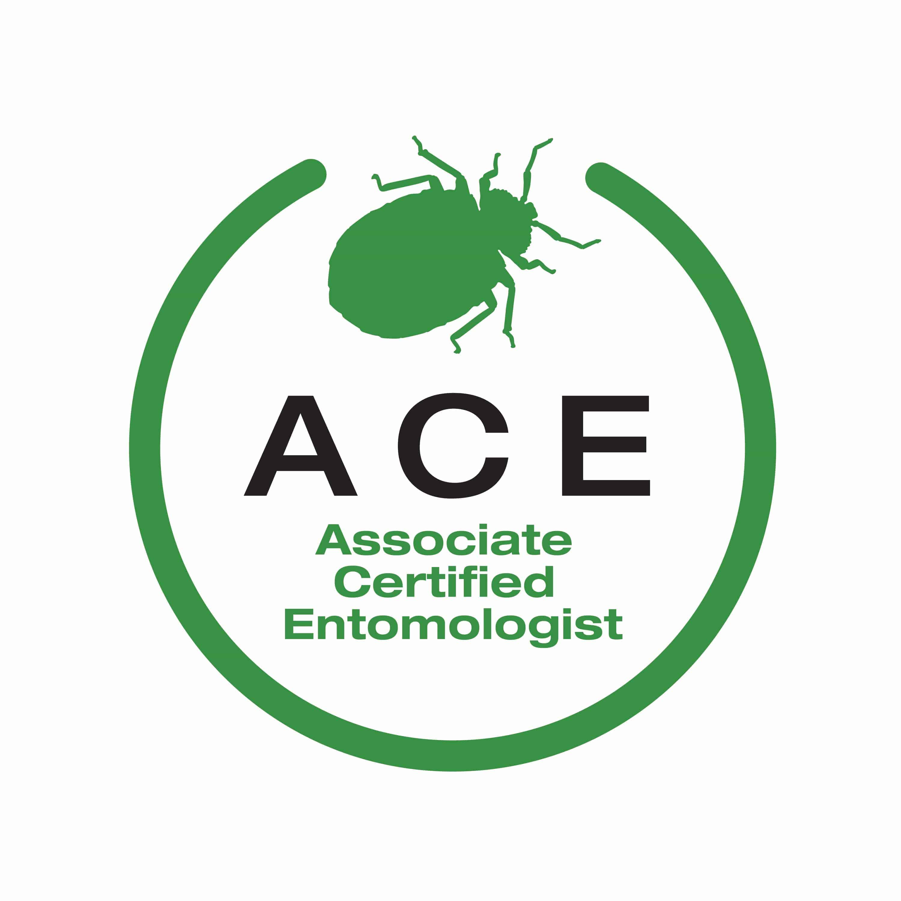 ACE Light Mode Logo